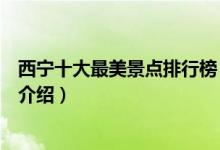 西宁十大最美景点排行榜（西宁最美的地方是哪里西宁美景介绍）