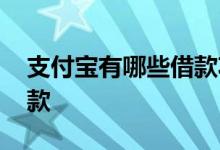 支付宝有哪些借款功能 支付宝有哪些应急借款