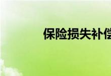保险损失补偿原则的实施要点