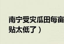 南宁受灾瓜田每亩补贴2（79元 网友认为补贴太低了）