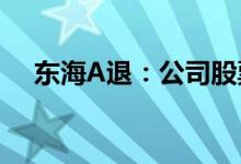 东海A退：公司股票将在6月29日被摘牌