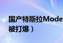 国产特斯拉ModelY降价近15万（订购电话被打爆）