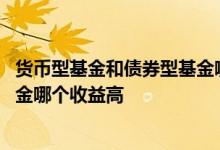 货币型基金和债券型基金哪个风险大 货币型基金和债券型基金哪个收益高