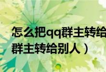 怎么把qq群主转给群里的其他人（怎么把qq群主转给别人）