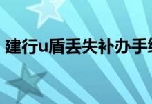 建行u盾丢失补办手续费 建行u盾挂失要钱吗