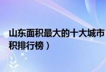 山东面积最大的十大城市（山东哪个城市面积最大各城市面积排行榜）