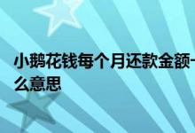 小鹅花钱每个月还款金额一样吗 小鹅花钱还款结果处理中什么意思