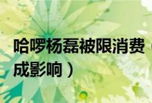 哈啰杨磊被限消费（对哈啰出行正常运营不造成影响）
