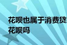 花呗也属于消费贷款吗 消费贷款可以用来还花呗吗