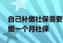 自己补缴社保需要准备哪些资料 自己怎么补缴一个月社保 