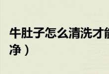 牛肚子怎么清洗才能洗干净（牛肚子怎么洗干净）
