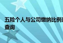 五险个人与公司缴纳比例是多少 五险缴纳完之后应该去哪里查询 
