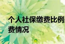个人社保缴费比例是多少 如何查个人社保缴费情况 