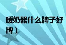 暖奶器什么牌子好（宝妈们不妨试试这几个品牌）