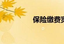 保险缴费宽限期是什么？