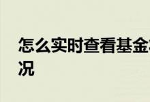 怎么实时查看基金状况 怎么实时查看基金状况
