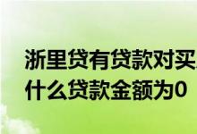 浙里贷有贷款对买房贷款有影响吗 浙里贷为什么贷款金额为0