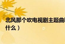 北风那个吹电视剧主题曲歌词（北风那个吹电视剧主题曲是什么）