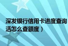 深发银行信用卡进度查询（深发银行信用卡还没收到卡没激活怎么查额度）