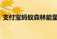 支付宝蚂蚁森林能量 支付宝蚂蚁森林怎么玩