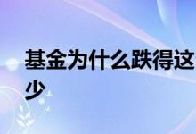 基金为什么跌得这么厉害 基金最高能涨到多少