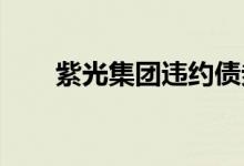 紫光集团违约债券即将进行债权清偿