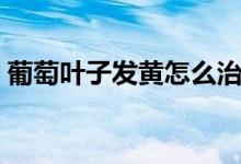 葡萄叶子发黄怎么治（葡萄叶子发黄怎么治）