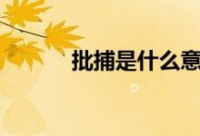 批捕是什么意思 pb是什么意思