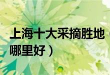 上海十大采摘胜地（上海采摘园推荐水果采摘哪里好）