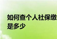 如何查个人社保缴费情况 个人社保缴费比例是多少 
