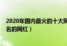 2020年国内最火的十大网红（2020十大网红排行榜排前十名的网红）