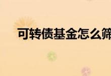 可转债基金怎么筛选 可转债基金怎么选