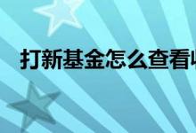 打新基金怎么查看收益 打新基金怎么购买