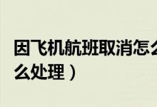 因飞机航班取消怎么办（飞机突然取消航班怎么处理）