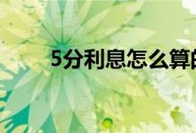 5分利息怎么算的 5分的利息怎么算