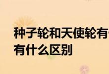 种子轮和天使轮有什么区别 种子轮和天使轮有什么区别