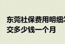 东莞社保费用明细怎么算 2022自己交社保要交多少钱一个月 