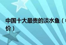 中国十大最贵的淡水鱼（中国最贵的淡水鱼品种曾经卖出天价）