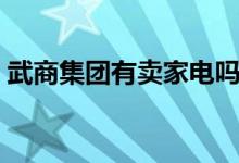 武商集团有卖家电吗 武商集团是不是国企呢 