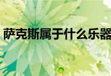 萨克斯属于什么乐器（萨克斯属于什么乐器）