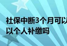 社保中断3个月可以补交吗 社保中断三个月可以个人补缴吗