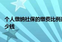个人缴纳社保的缴费比例是多少 个人缴纳社保一个月要交多少钱 