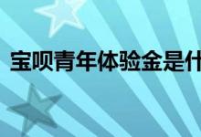 宝呗青年体验金是什么 宝呗青年可以开通吗