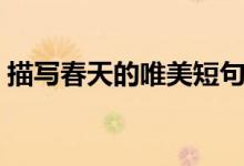 描写春天的唯美短句（描写春天的简短句子）