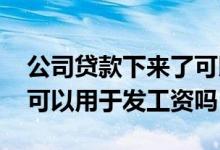 公司贷款下来了可以用来发工资吗 企业贷款可以用于发工资吗