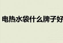电热水袋什么牌子好（这几个品牌口碑不错）