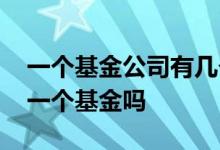 一个基金公司有几个基金 一个基金公司只有一个基金吗