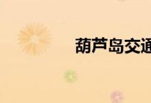  葫芦岛交通违章查询指南 