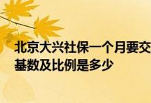 北京大兴社保一个月要交多少钱 2022年北京大兴社保缴费基数及比例是多少 