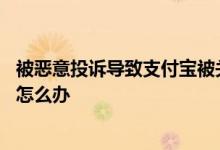 被恶意投诉导致支付宝被关闭 支付宝被投诉支付功能被关闭怎么办